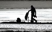 TONY HOWES - Bait digger on Titchwell beach